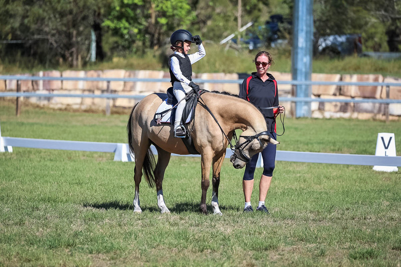 JPC Feb 2026 Dressage-7236.jpg
