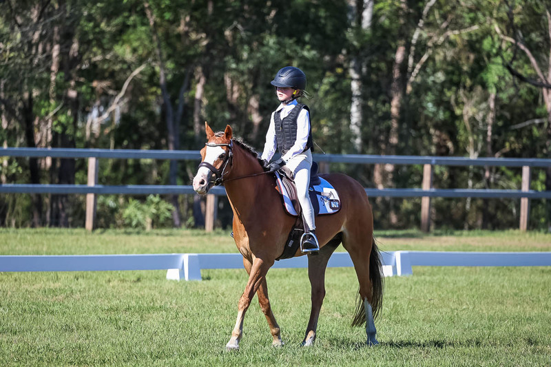 JPC Feb 2026 Dressage-7237.jpg