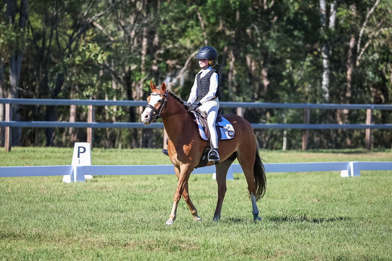 JPC Feb 2026 Dressage-7238.jpg
