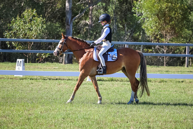 JPC Feb 2026 Dressage-7239.jpg