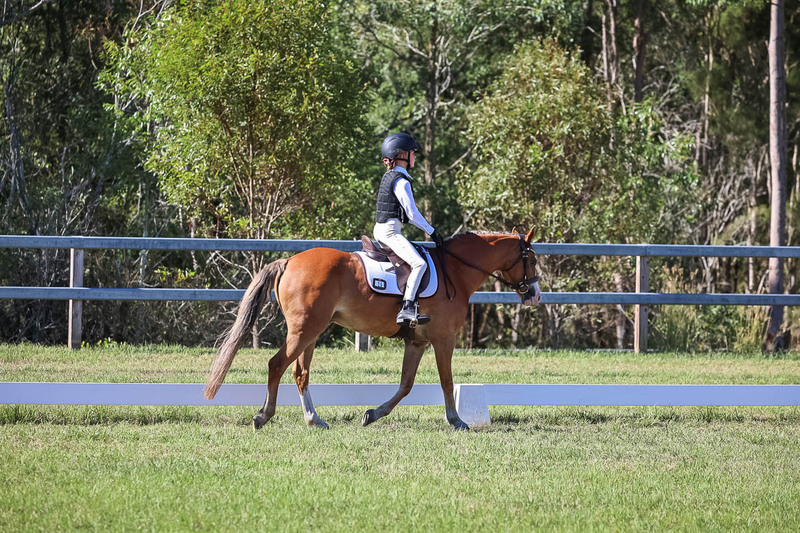 JPC Feb 2026 Dressage-7240.jpg