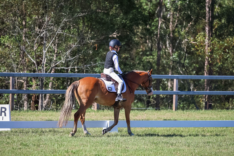 JPC Feb 2026 Dressage-7242.jpg