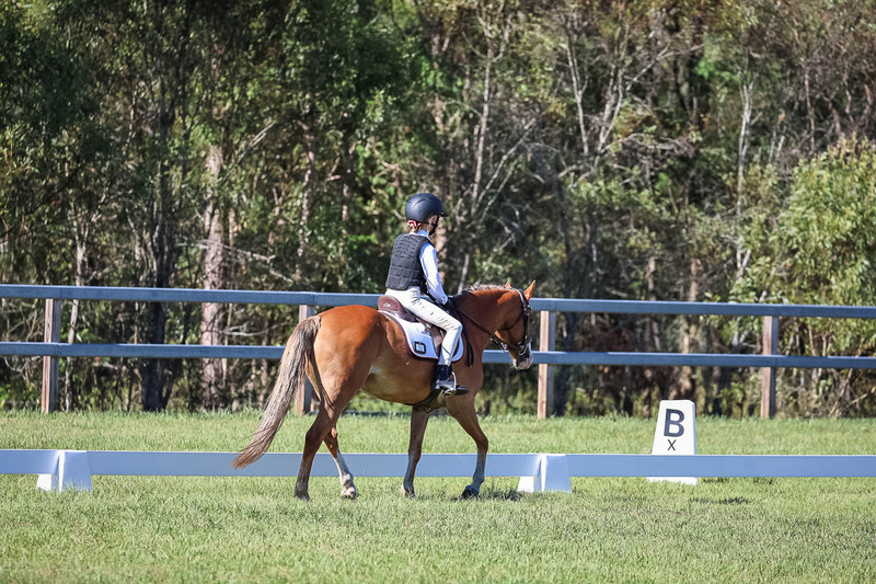 JPC Feb 2026 Dressage-7243.jpg
