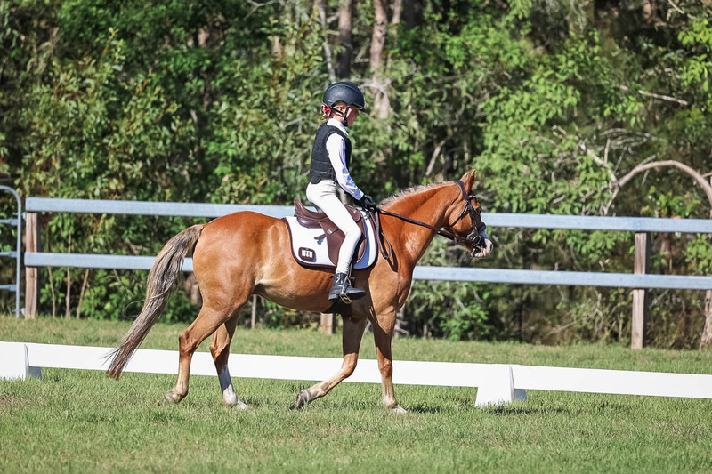 JPC Feb 2026 Dressage-7244.jpg