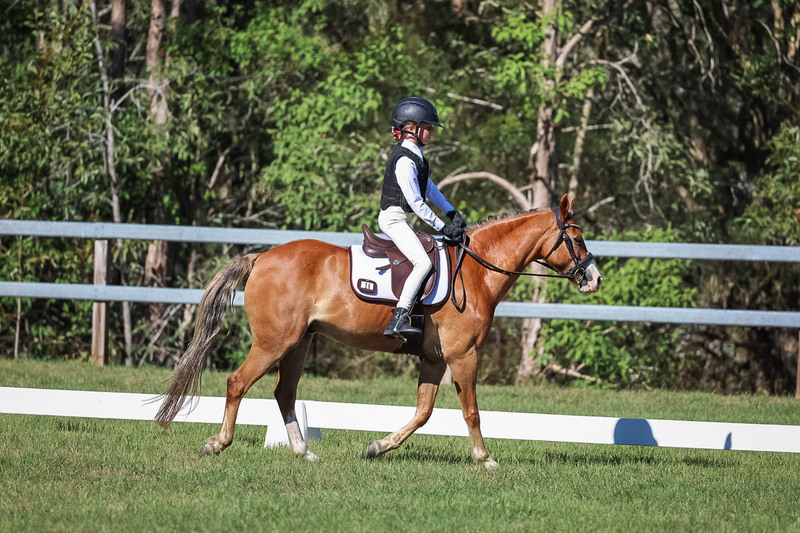 JPC Feb 2026 Dressage-7245.jpg