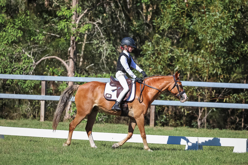 JPC Feb 2026 Dressage-7246.jpg