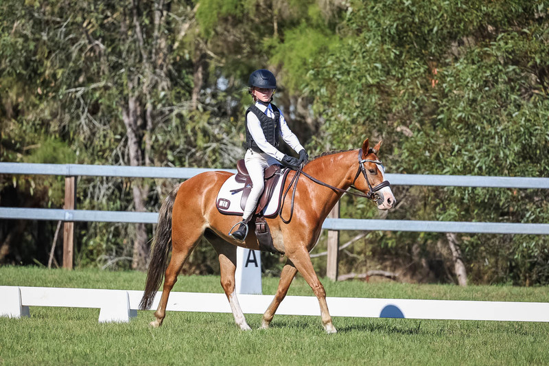 JPC Feb 2026 Dressage-7247.jpg