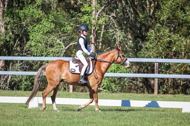 JPC Feb 2026 Dressage-7248.jpg