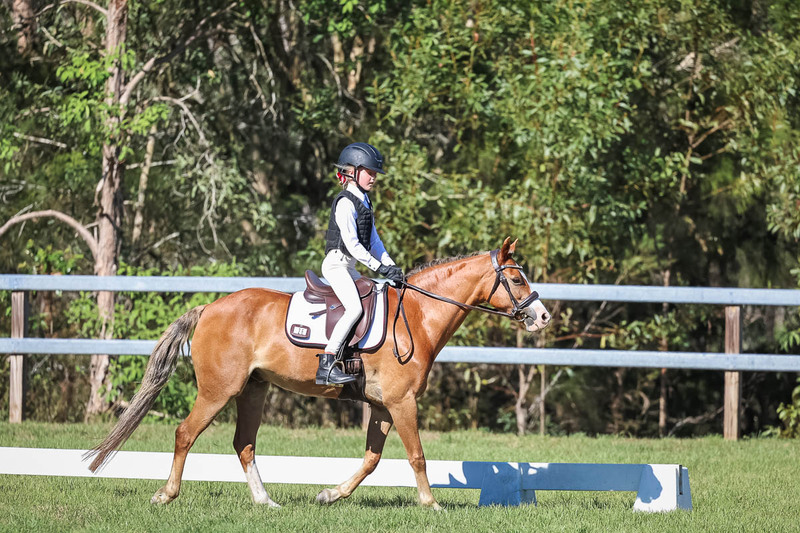 JPC Feb 2026 Dressage-7249.jpg