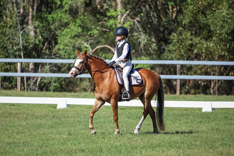 JPC Feb 2026 Dressage-7251.jpg