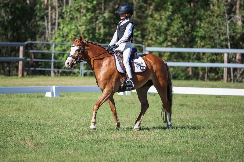 JPC Feb 2026 Dressage-7253.jpg