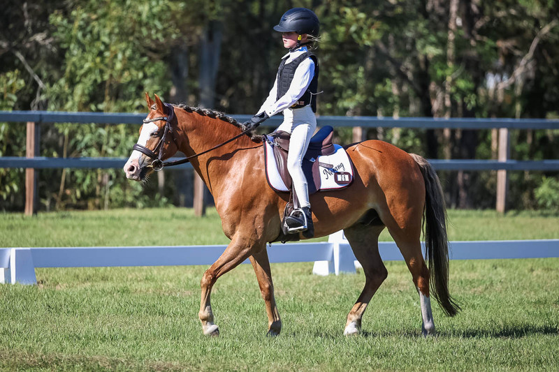 JPC Feb 2026 Dressage-7255.jpg