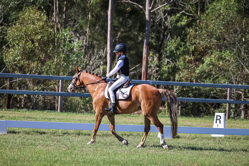 JPC Feb 2026 Dressage-7258.jpg