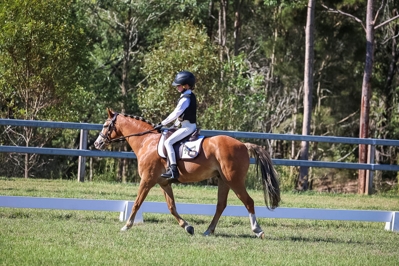 JPC Feb 2026 Dressage-7259.jpg