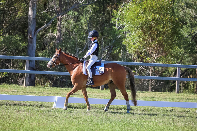 JPC Feb 2026 Dressage-7260.jpg
