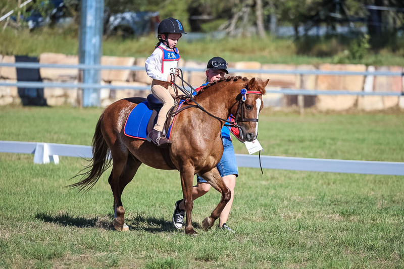 JPC Feb 2026 Dressage-7263.jpg
