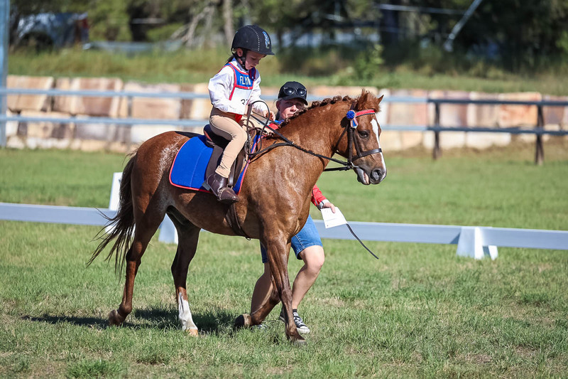 JPC Feb 2026 Dressage-7264.jpg