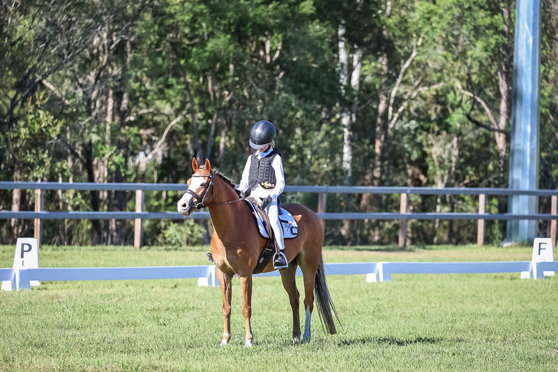 JPC Feb 2026 Dressage-7266.jpg