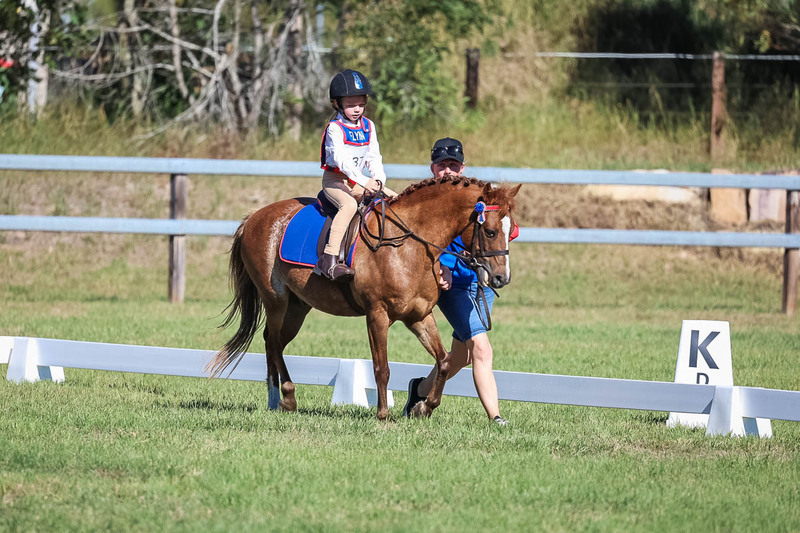 JPC Feb 2026 Dressage-7267.jpg