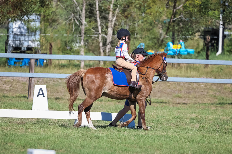 JPC Feb 2026 Dressage-7268.jpg