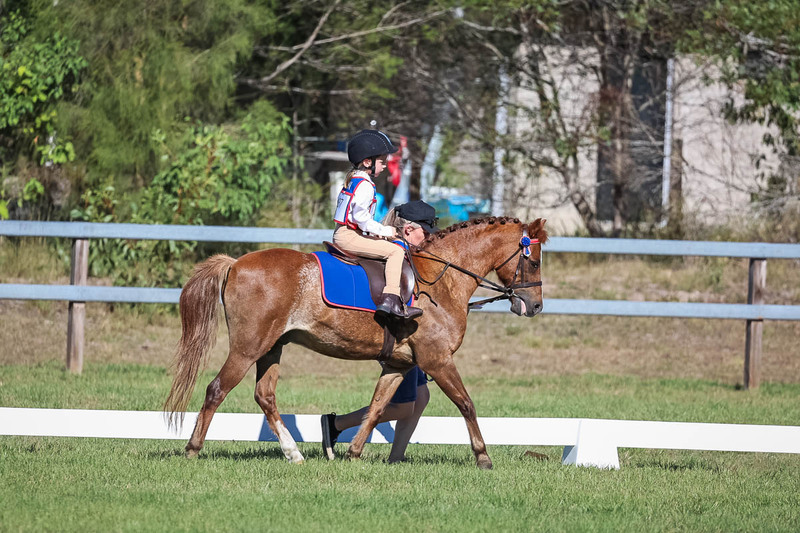 JPC Feb 2026 Dressage-7269.jpg