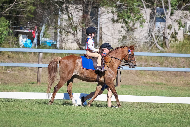 JPC Feb 2026 Dressage-7270.jpg