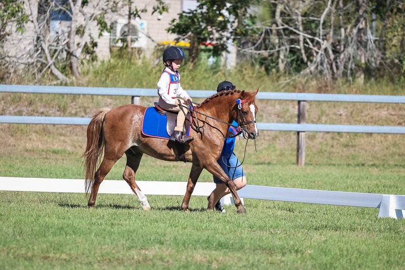 JPC Feb 2026 Dressage-7271.jpg
