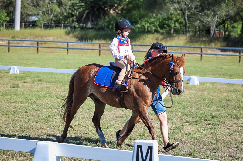 JPC Feb 2026 Dressage-7272.jpg