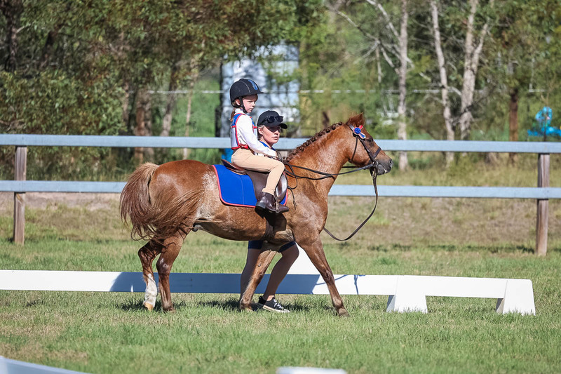 JPC Feb 2026 Dressage-7274.jpg