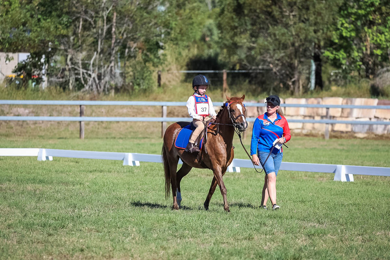 JPC Feb 2026 Dressage-7276.jpg