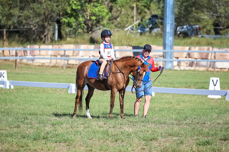 JPC Feb 2026 Dressage-7279.jpg
