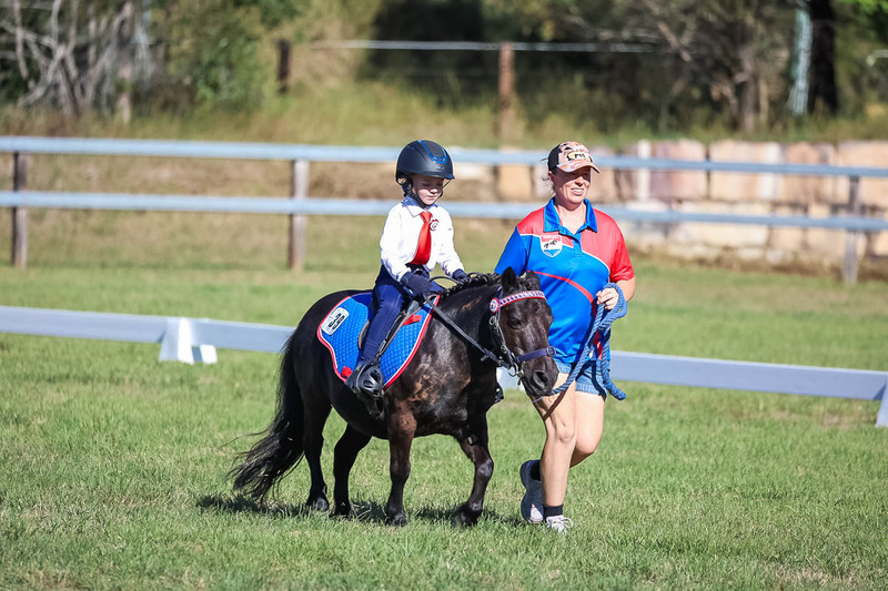 JPC Feb 2026 Dressage-7281.jpg