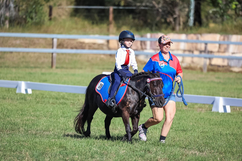 JPC Feb 2026 Dressage-7282.jpg