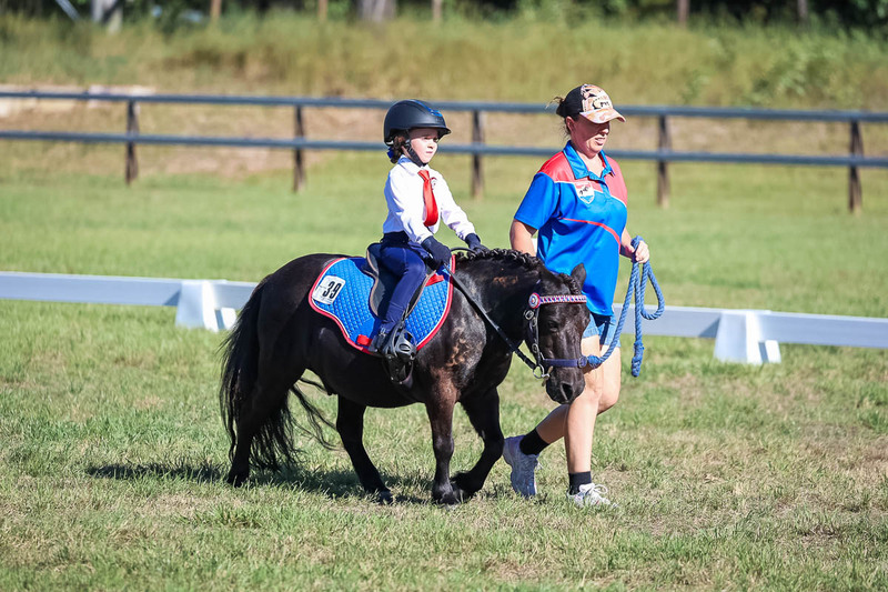 JPC Feb 2026 Dressage-7284.jpg