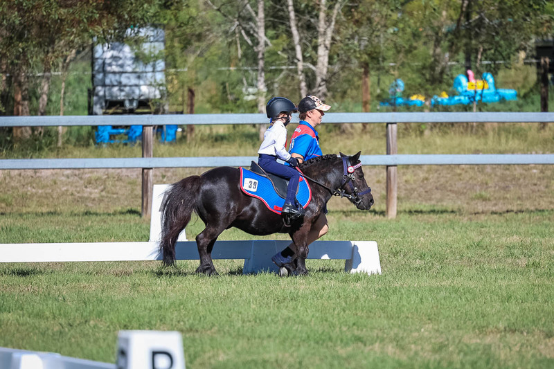 JPC Feb 2026 Dressage-7287.jpg