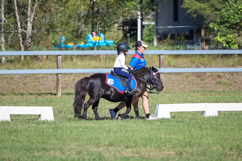 JPC Feb 2026 Dressage-7288.jpg