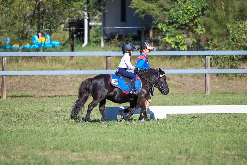 JPC Feb 2026 Dressage-7289.jpg