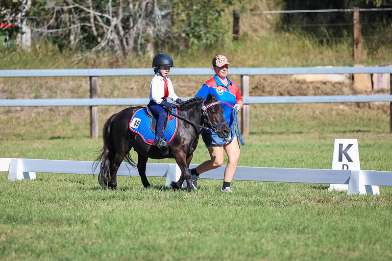 JPC Feb 2026 Dressage-7291.jpg