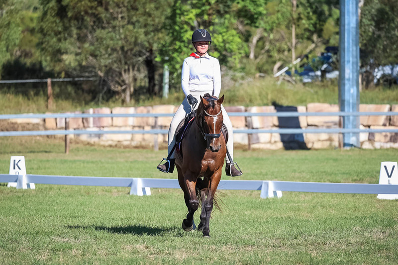 JPC Feb 2026 Dressage-7296.jpg