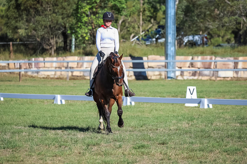 JPC Feb 2026 Dressage-7297.jpg