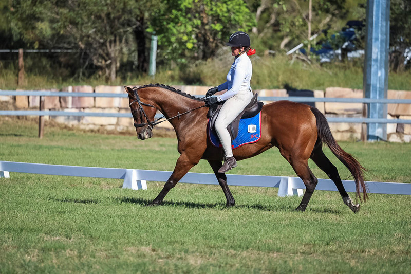 JPC Feb 2026 Dressage-7298.jpg