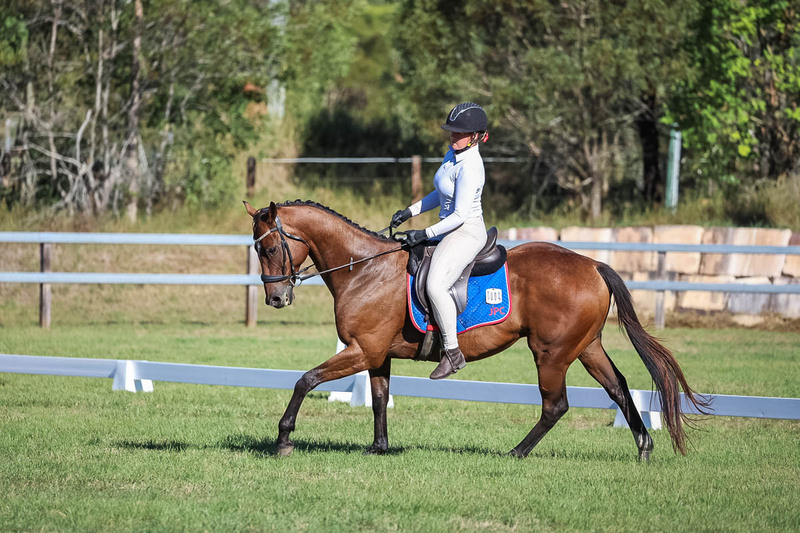 JPC Feb 2026 Dressage-7299.jpg
