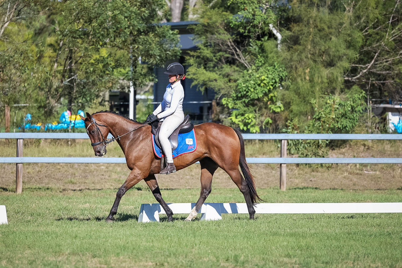 JPC Feb 2026 Dressage-7301.jpg