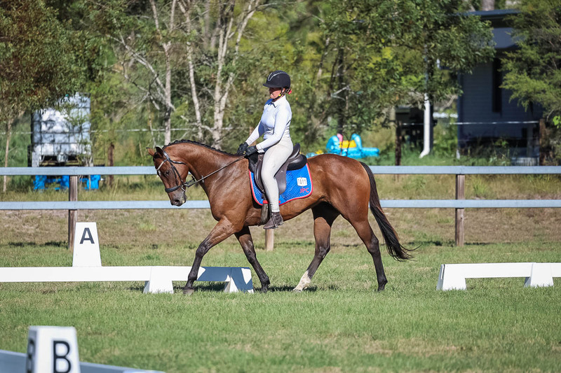 JPC Feb 2026 Dressage-7302.jpg