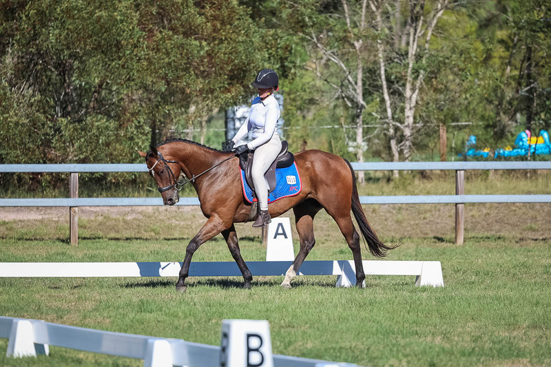 JPC Feb 2026 Dressage-7303.jpg