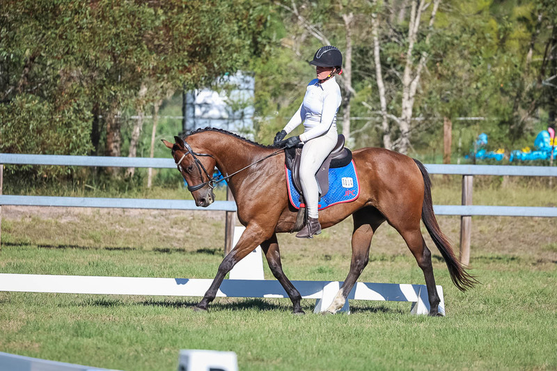 JPC Feb 2026 Dressage-7304.jpg