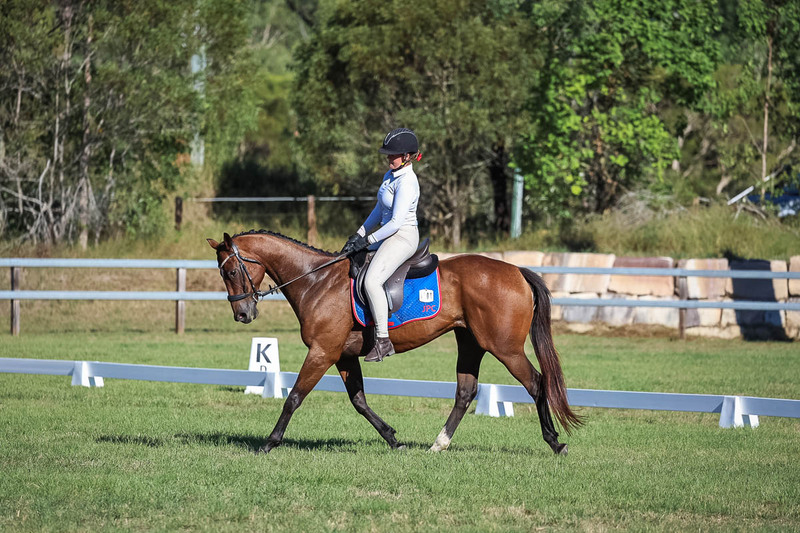 JPC Feb 2026 Dressage-7307.jpg