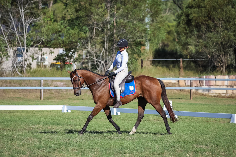 JPC Feb 2026 Dressage-7308.jpg