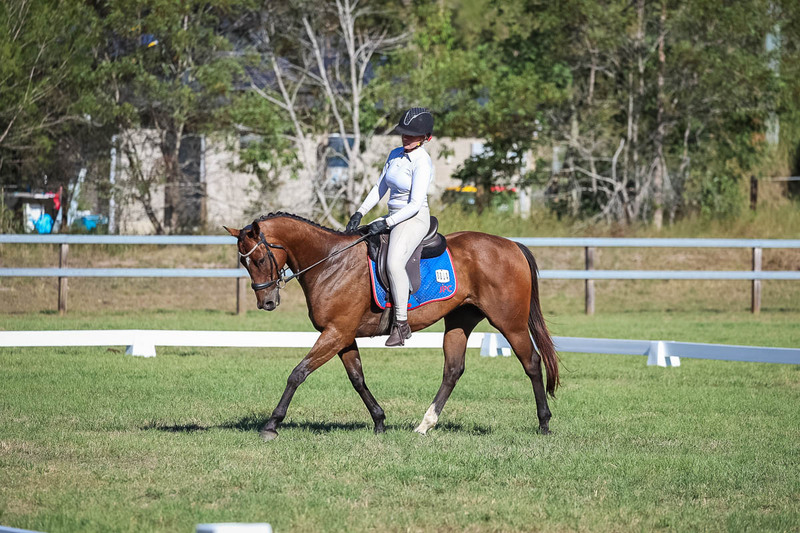JPC Feb 2026 Dressage-7309.jpg