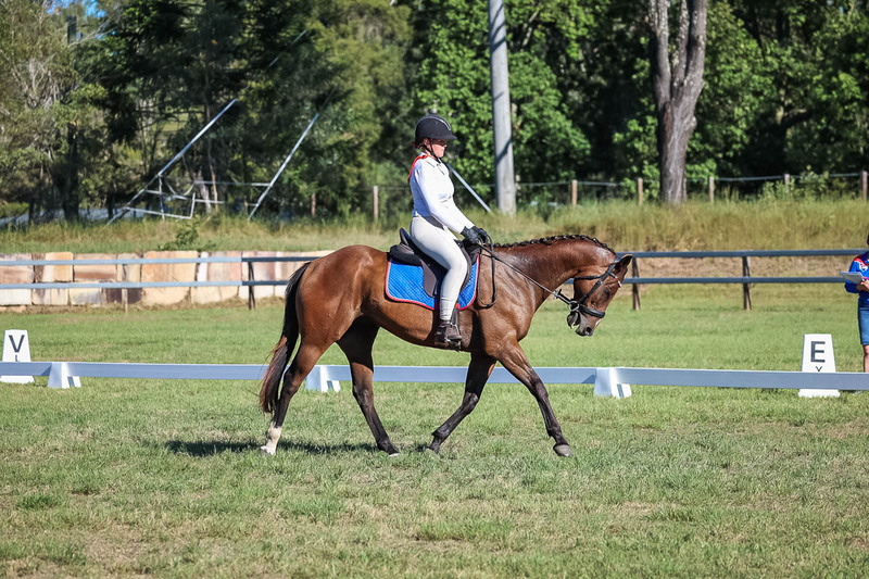 JPC Feb 2026 Dressage-7311.jpg